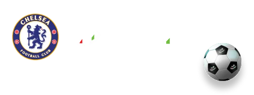 TMGM外汇 中国官方网站